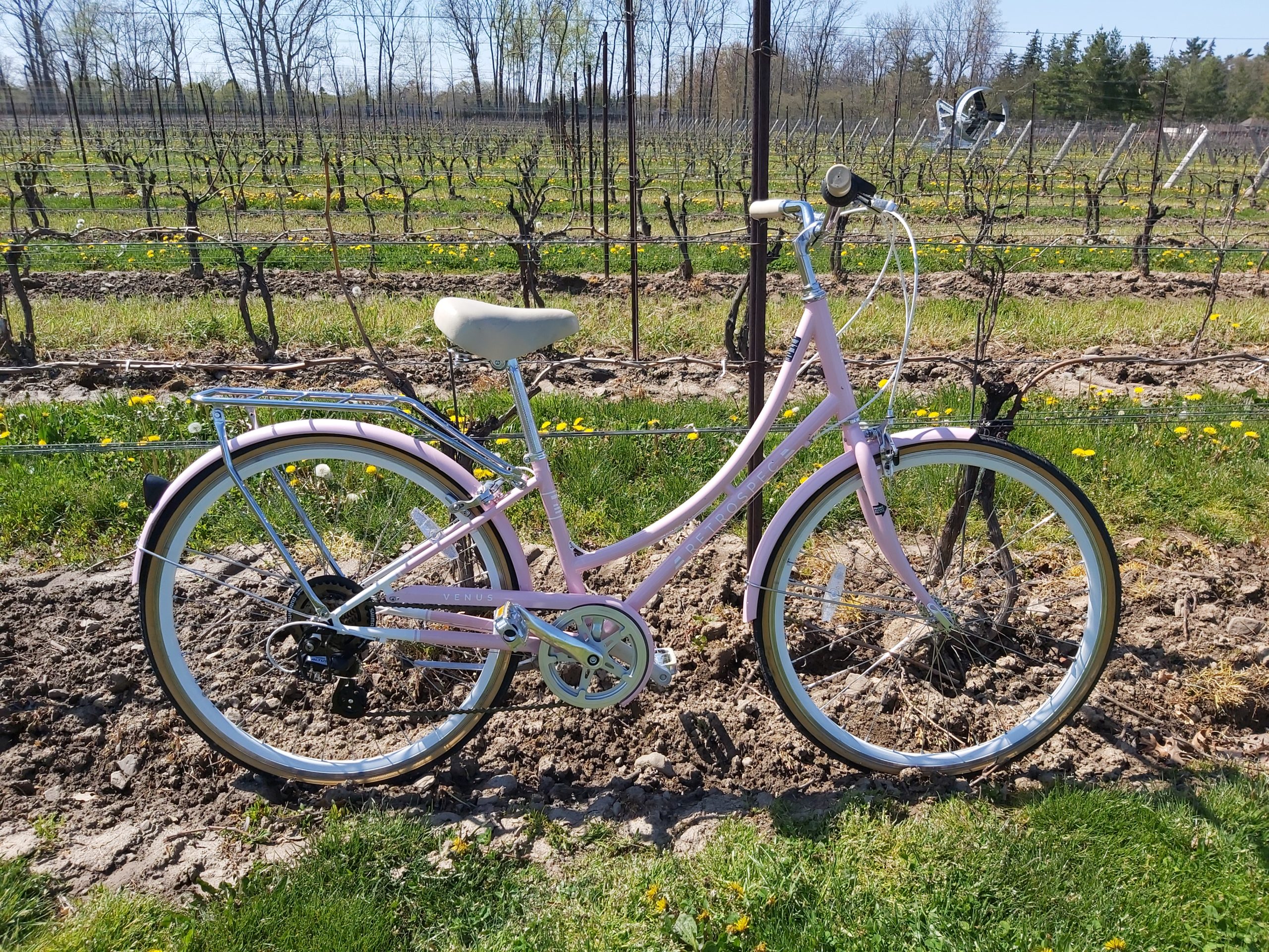 35 Euro Style Bicycle Rentals Tour de Vine