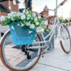 Full Day Bicycle & E-Bike Rentals