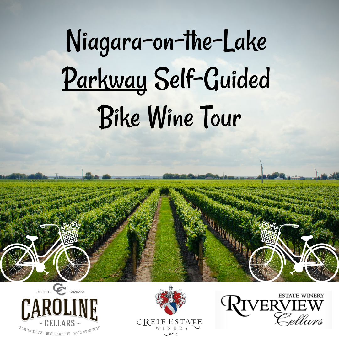 niagara winery bike tour