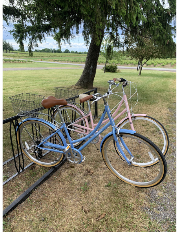 Fun With New Friends Guided Bike Wine & Spirits Tour with Lunch (Group Tour) Tour de Vine