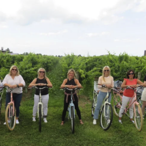 Full Day (10am-6pm) E-Bike Rentals: BENCH Location Only